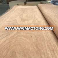 Burma 0.3mm Natural Gurjan wood face veneer/keruing face veneer