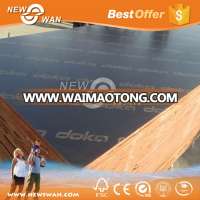 Wholesale Imported DOKA Plywood for Construction