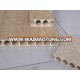 Door Use Hollow core Particle Board