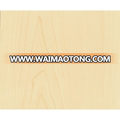 Maple natural veneer