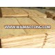 0.5 mm Wood Veneer Rotary Cut A Grade With Best Price